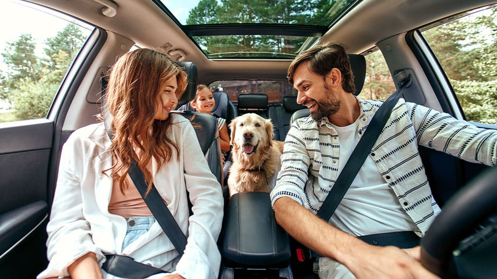 Dog and family in car
