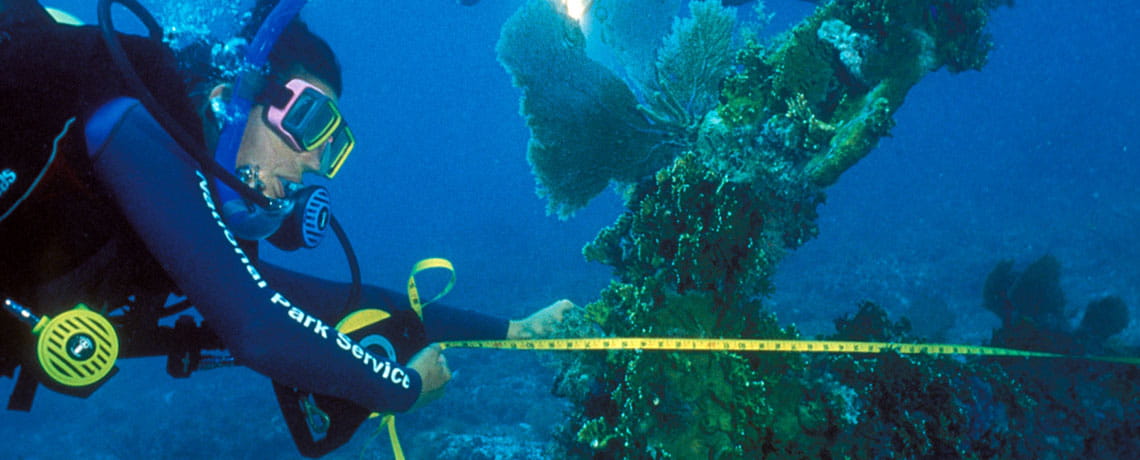 Park biologist measuring coral