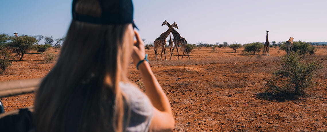 Giraffes are a sight to behold on a Camp Jabulani game drive in South Africa. Photo courtesy of African Travel, Inc.