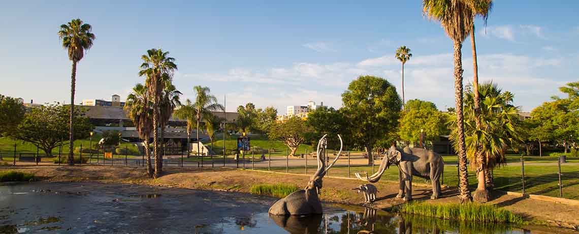 The Tar Pits