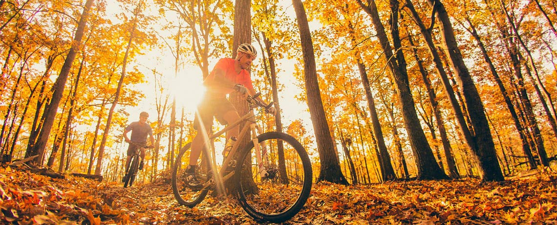 Mountain Bikers in a Fall forest