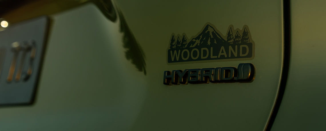 Woodland Hybrid