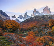 Autumn at Patagonia
