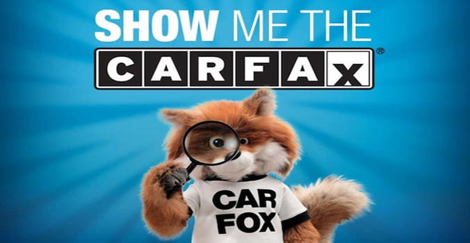 Carfax Car Fox