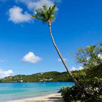 Travel to the Caribbean with AAA Travel