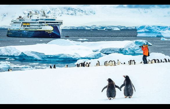 Cruise ship among Antarctic landscape, with a series of penguins and a photographer.