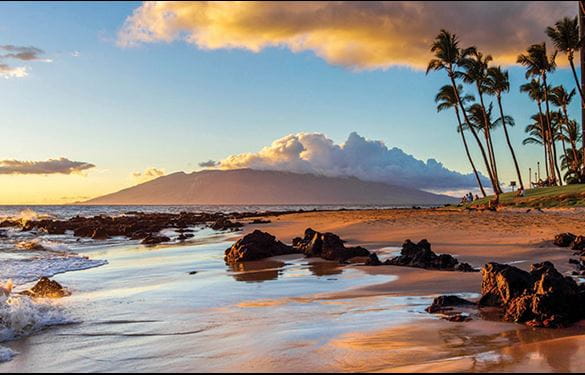 Maui beach at sunset with palm trees