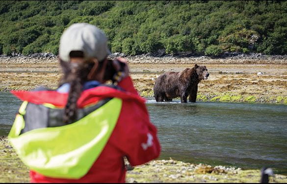 Tourist capturing photo of bear in water on Alaska vacation tour