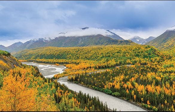 Trees in autumn among mountains in Alaska
