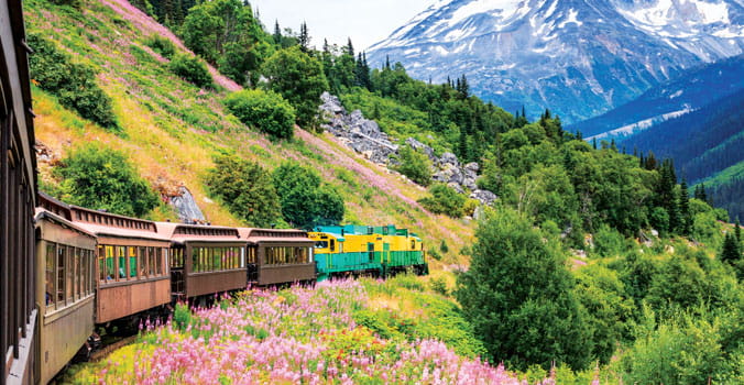 Train traveling through Alaska scenery