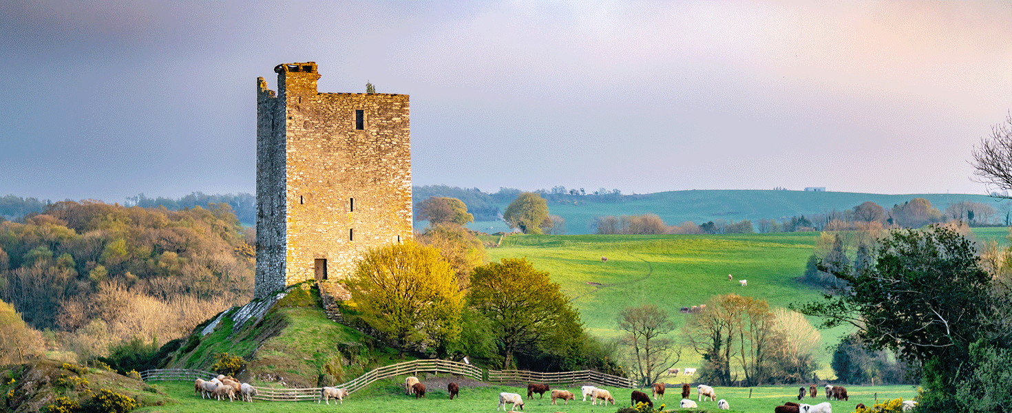 Carrigaphooca Castle in Ireland