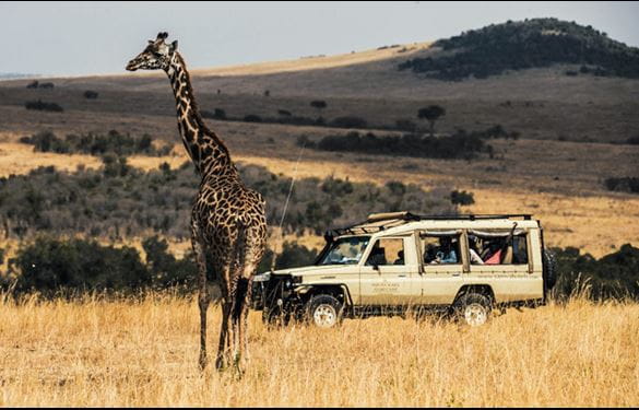 Guided Tours with African Travel