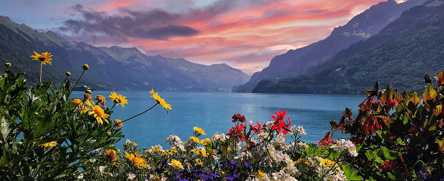 Scenic and floral view of Lucerne Lake in Switzerland