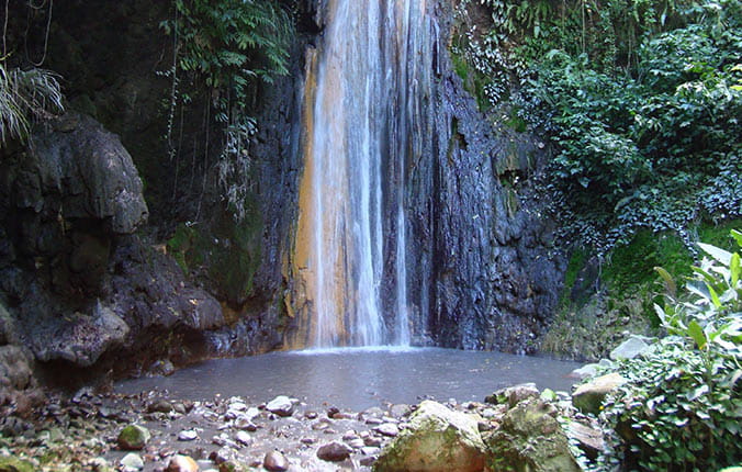 Lush tropical jungle and waterfall 