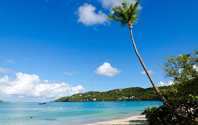 Beach and palm tree in St Thomas