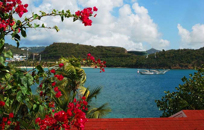 Red flowers overlooking Caribbean bay