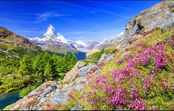 A scenic mountain landscape with a flowing river and colorful flowers in the foreground.