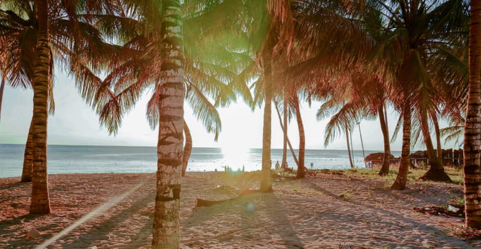 Caribbean sea at sunset, with white beaches and coconut palms