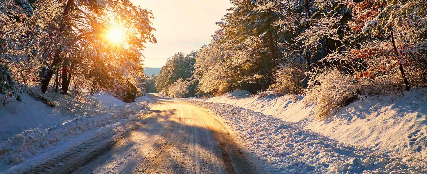 This wintery scene welcomes you with bright sunshine and icy branches illuminating your way as you drive along a snow-covered country road.
