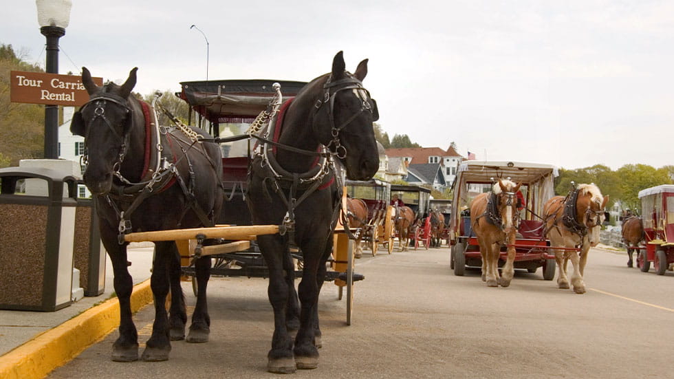 Horses pulling carriages downtown Mackinac Island