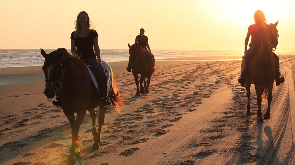 The Cape Hatteras National Seashore enjoys a wide variety of recreational uses, one being horseback riding adventures provided by local outfitters, touring the undeveloped beaches along the Atlantic Ocean. Photo are courtesy Outer Banks Tourism