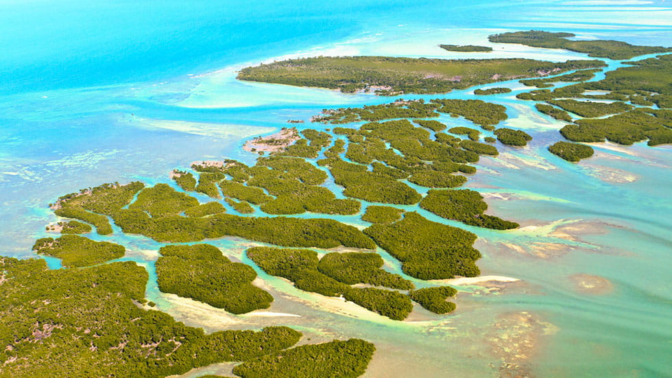 Florida Keys Aerial View. Photo courtesy of Bertl123/iStock.com