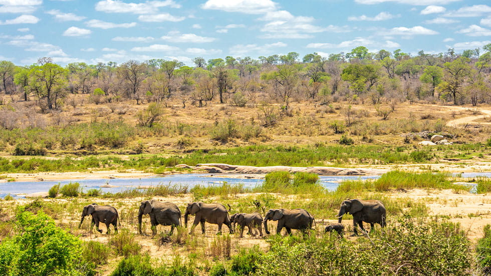 Kruger National Park