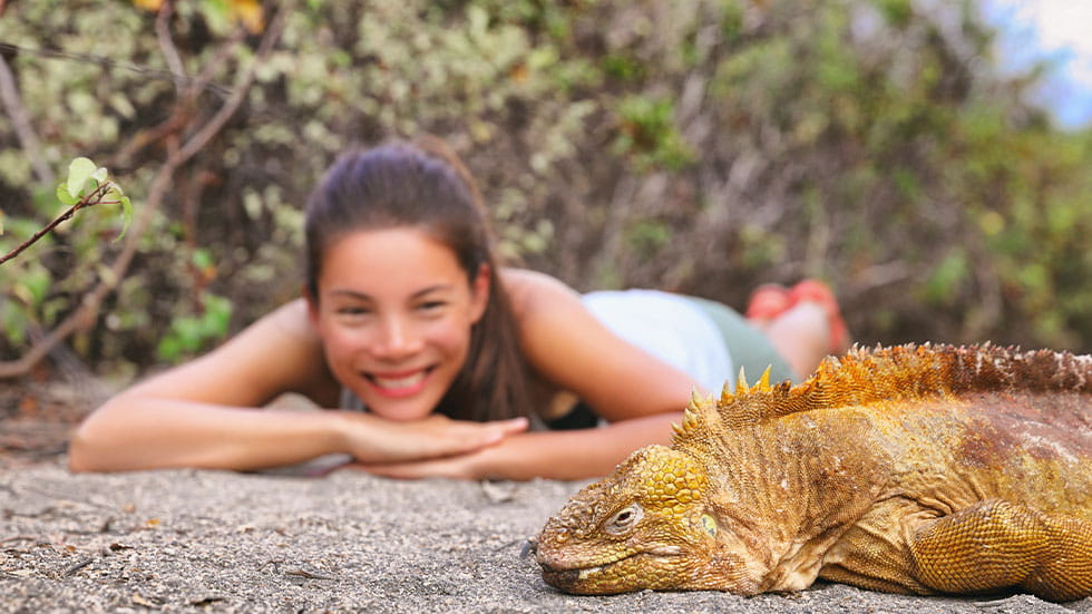 Woman looks close up at Iguana in the Galapagos Islands