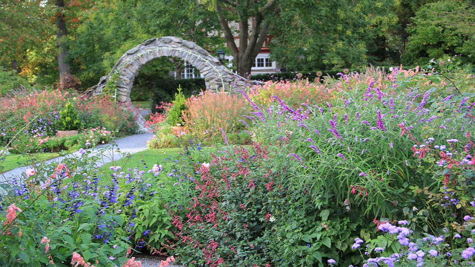 Late summer Rose Garden and Moon Gate at Blithewold Mansion, Gardens, and Arboretum