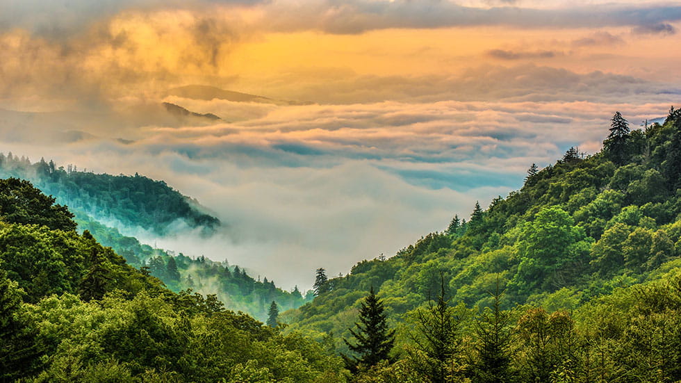 Fog over the Great Smokey Mountains National Park