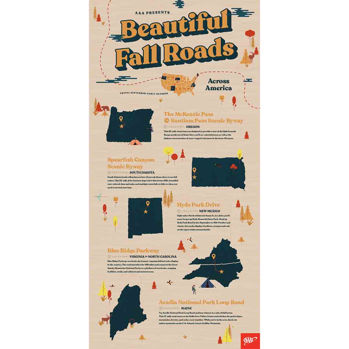 Beautiful Fall Roads