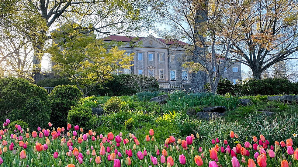 Cheekwood tulips in front of Mansion. Photo courtesy Nashville Convention & Visitors Corp