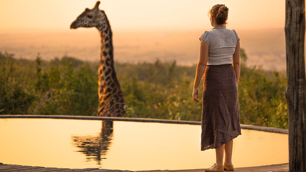 Woman looking at giraffe