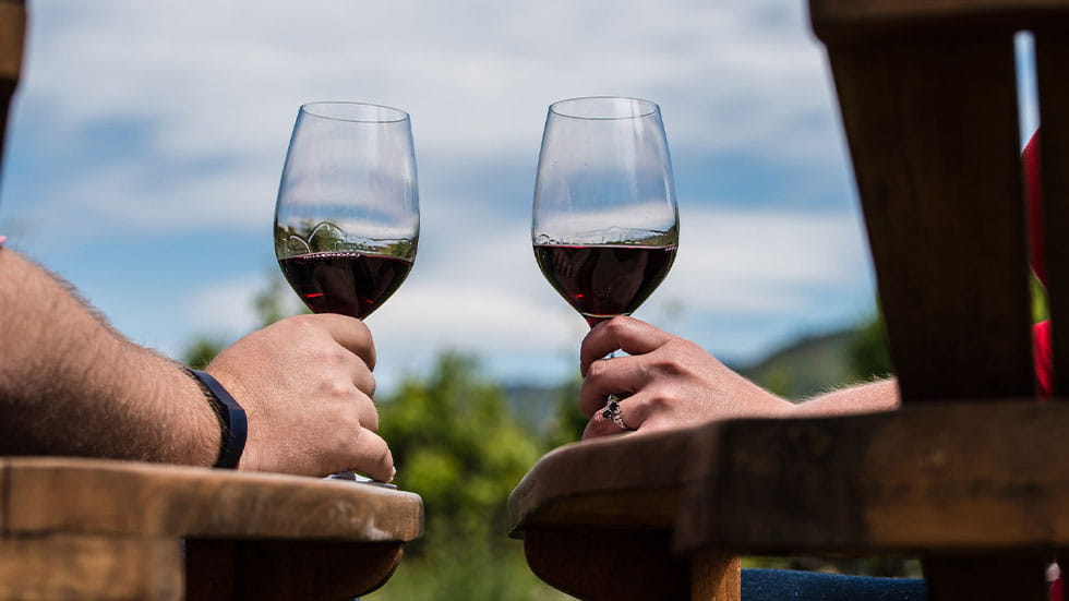 couple sitting in chairs holding wine glasses filled with red wine