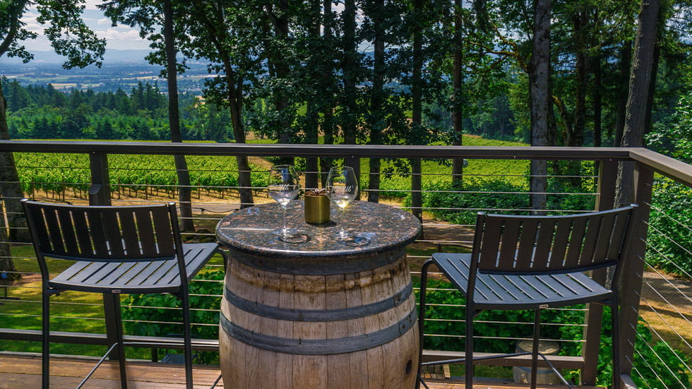 Vista Hills Winery, Dayton, Willamette Valley, Oregon