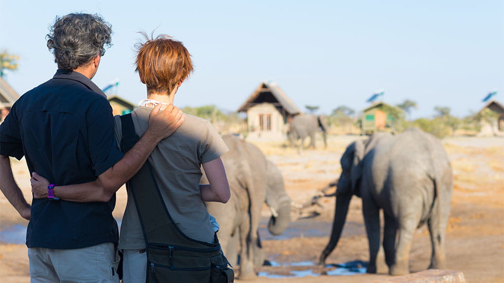 Couple at a safari looking at elephants