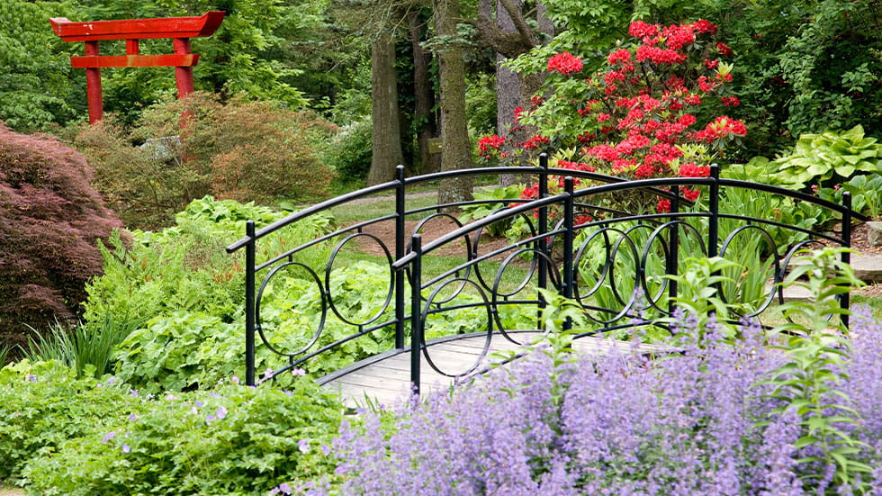 The Iris Garden Bridge, Ladew Topiary Garden, Monkton, MD
