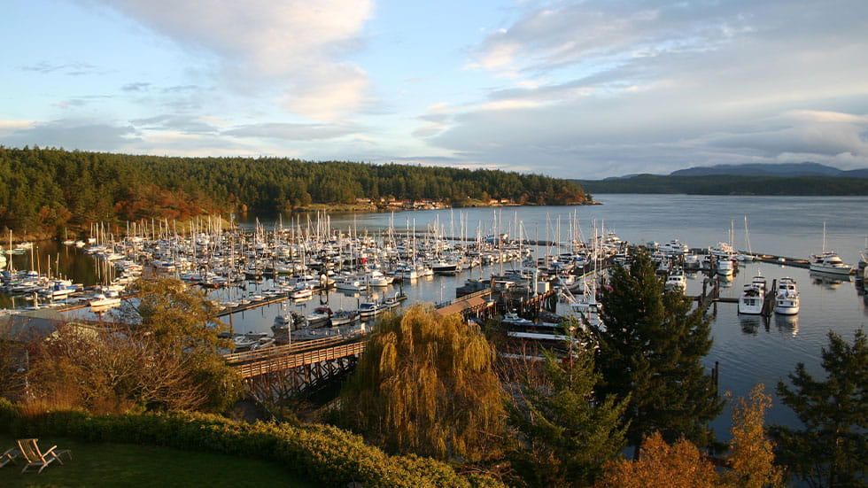 A view of the harbor in Friday Harbor, WA at sunset