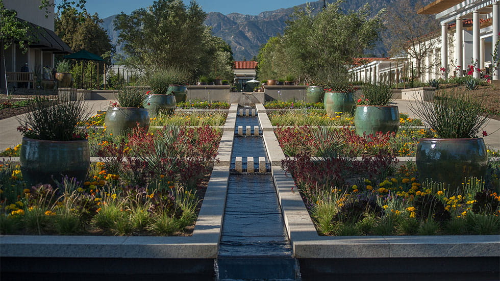 THE HUNTINGTON LIBRARY, ART MUSEUM AND BOTANICAL GARDENS