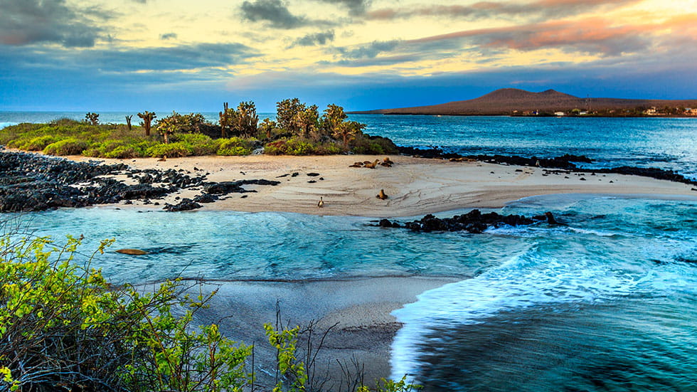 Galapagos Islands RenHo via iStock