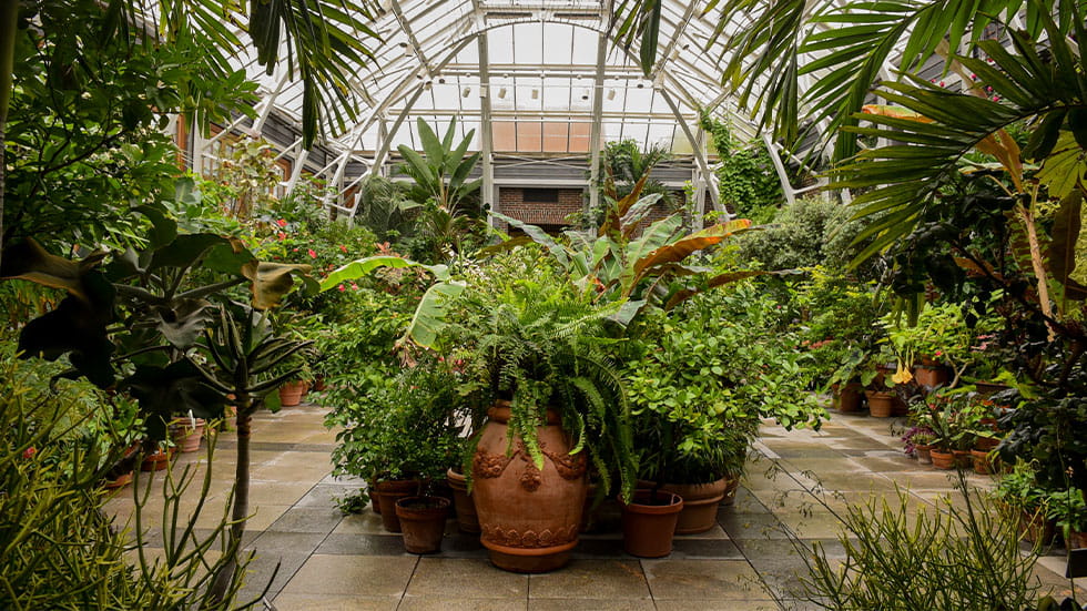 conservatory at New England Botanic Garden at Tower Hill