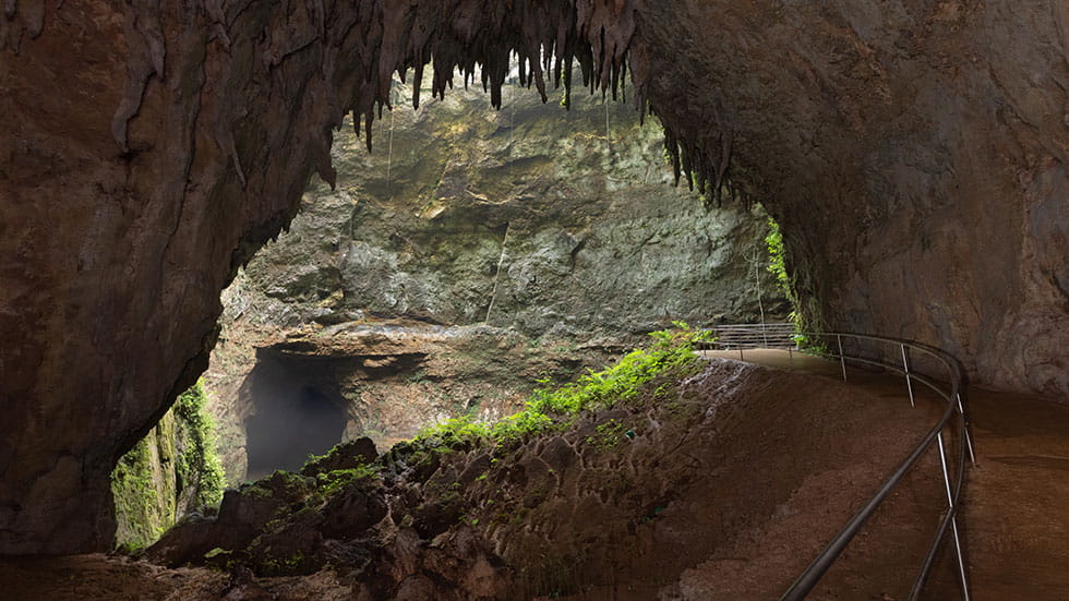 Camuy Caverns Credit Discover Puerto Rico