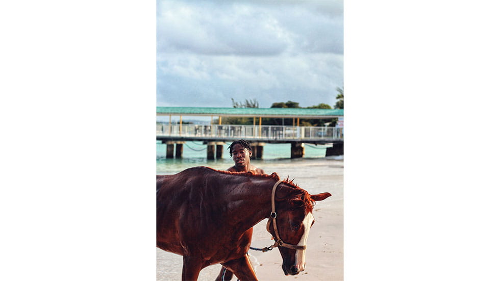 Barbados Racing Horse & Groom. Photo by David Cain/Unsplash.com
