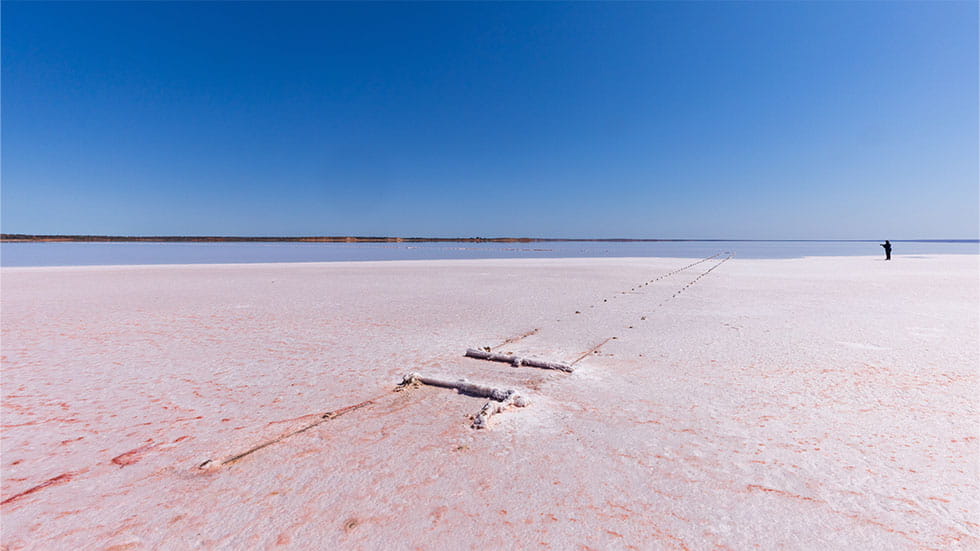 Lake Hart, Australia