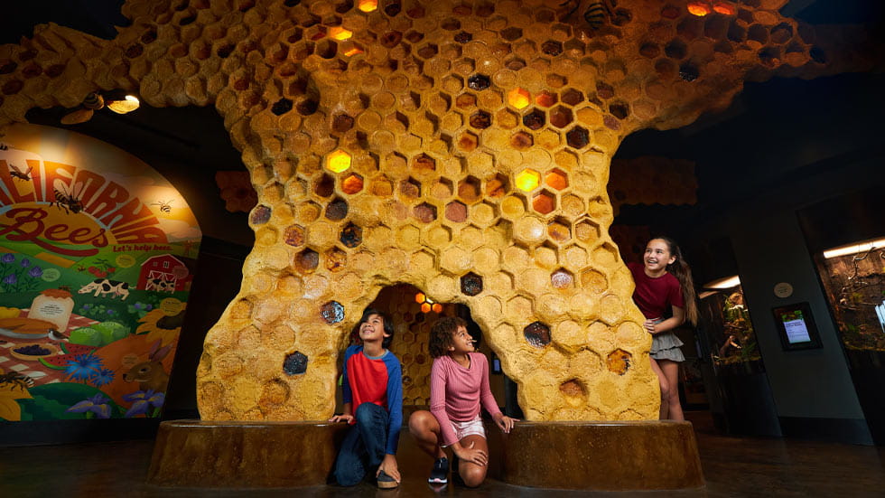 Kids playing in a make-believe beehive in San Diego Zoo in California