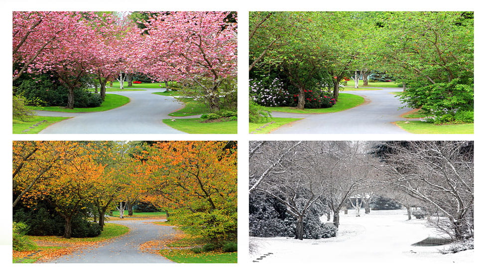 4 pictures of a drive way during spring, summer, fall, winter