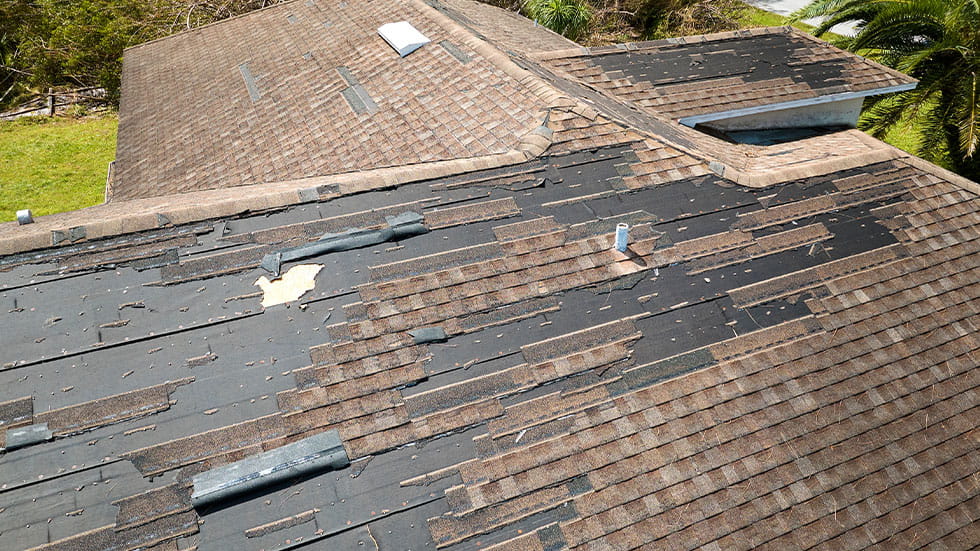 roof shingle damage