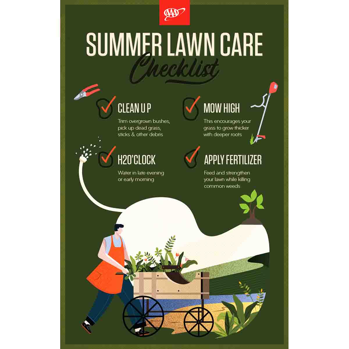 Summer Lawn Care Info