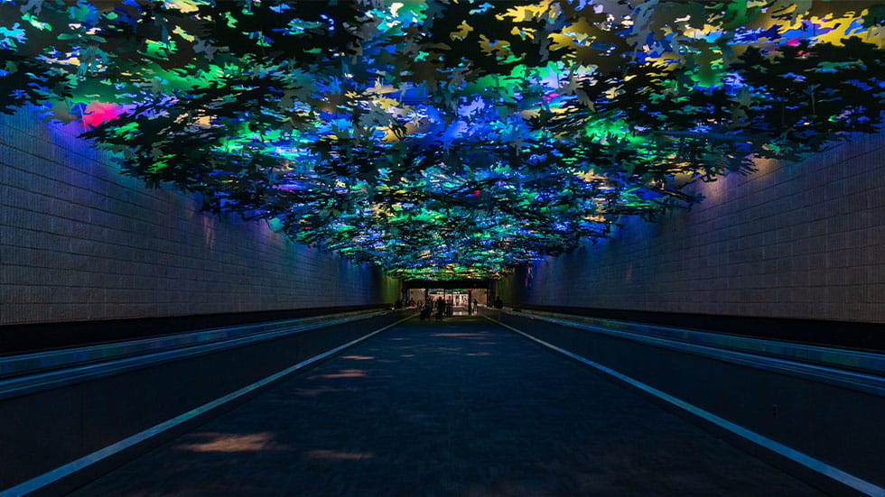 rainforest garden tunnel in the ATL Hartsfield-Jackson International Airport 