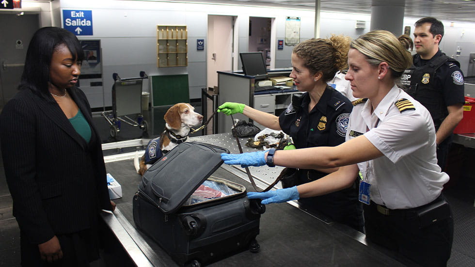 luggage being searched at airport
